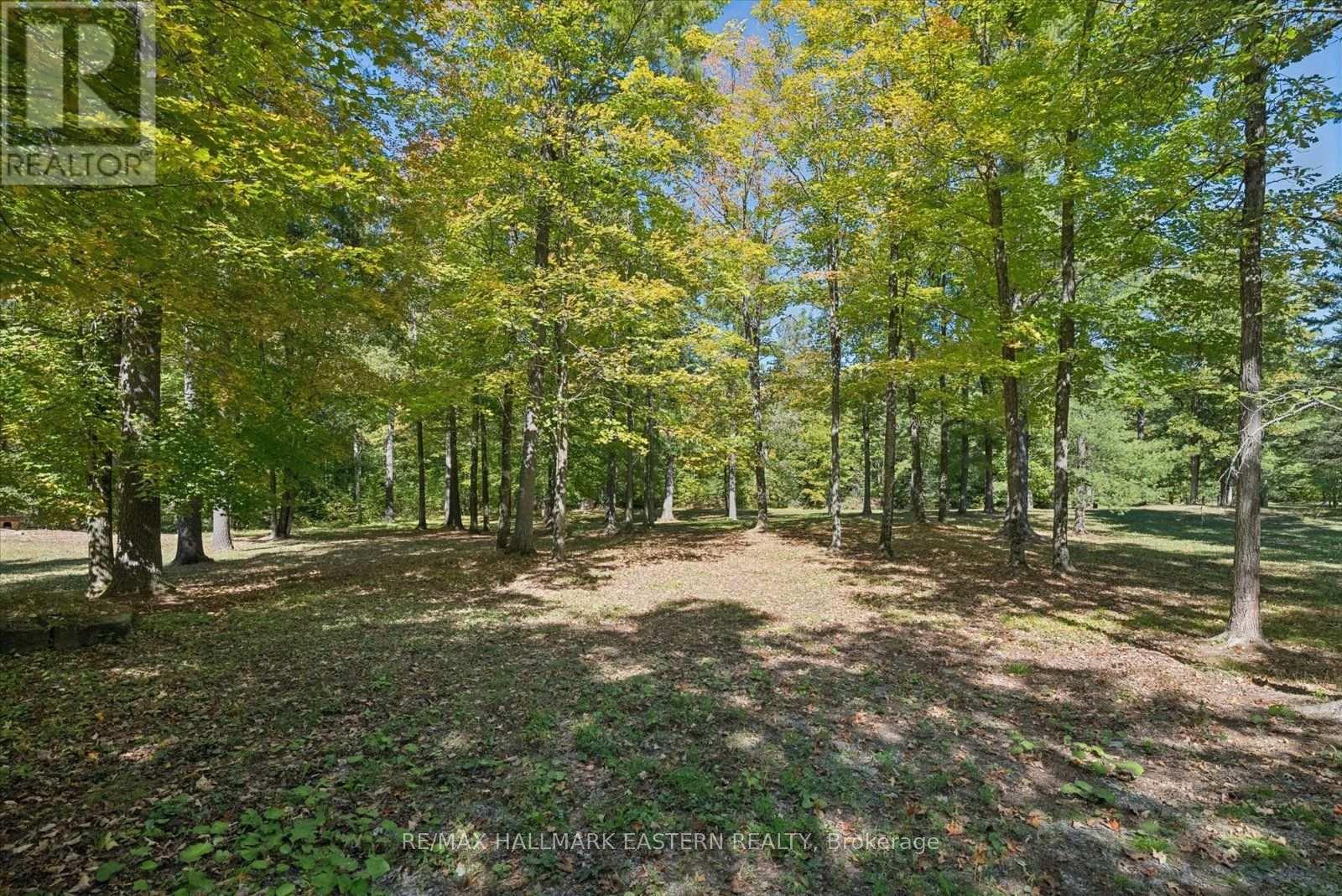 778 Eighth Line Road, Douro-Dummer, Ontario  K0L 2V0 - Photo 48 - X13838756