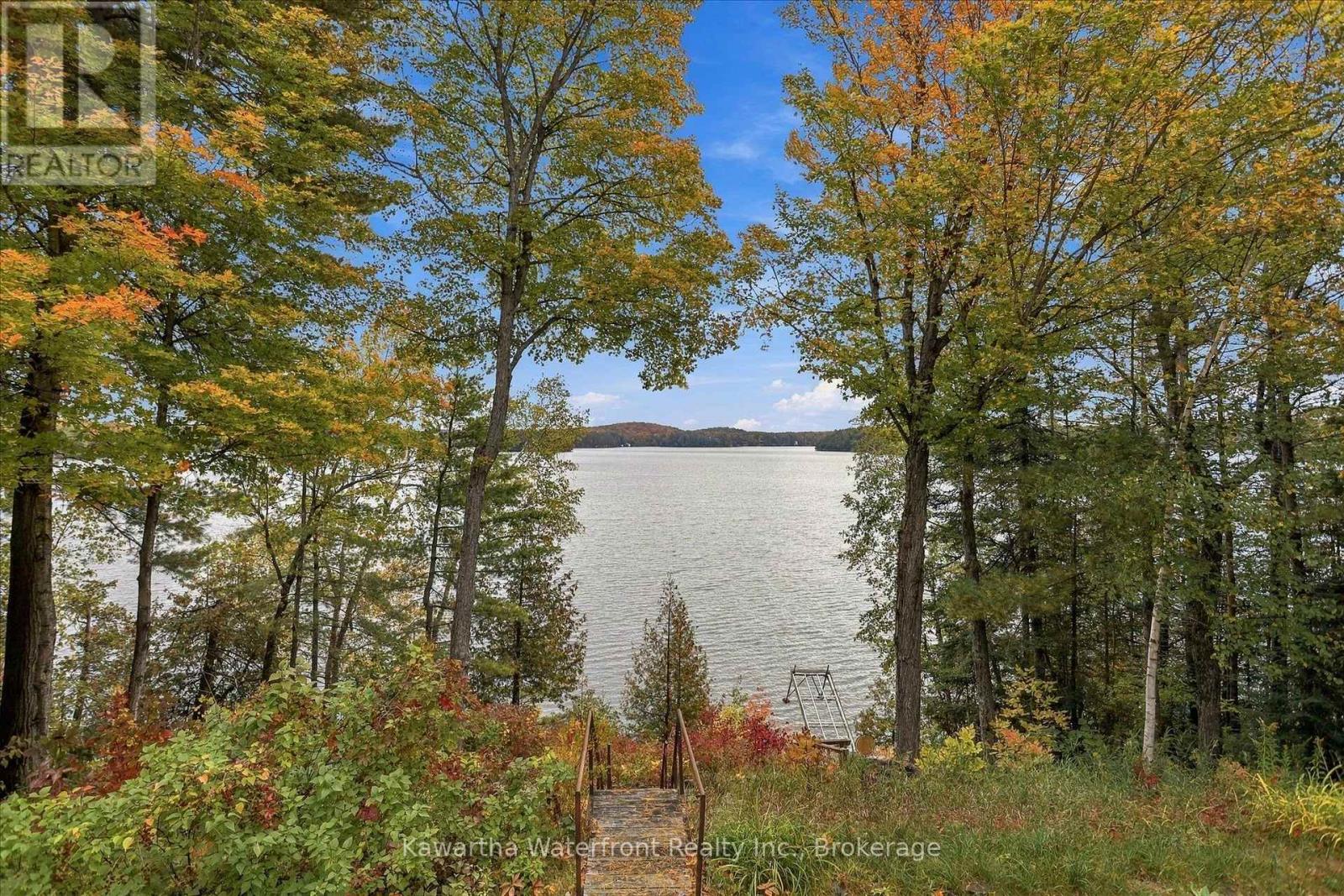 1628 Lewis Road, Highlands East (Cardiff Ward), Ontario  K0L 1C0 - Photo 38 - X13841254
