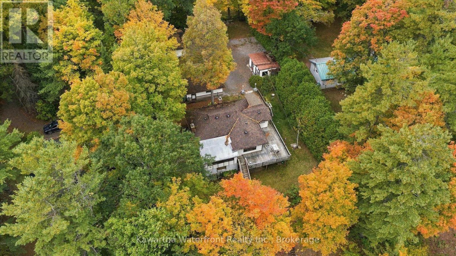 1628 Lewis Road, Highlands East (Cardiff Ward), Ontario  K0L 1C0 - Photo 47 - X13841254