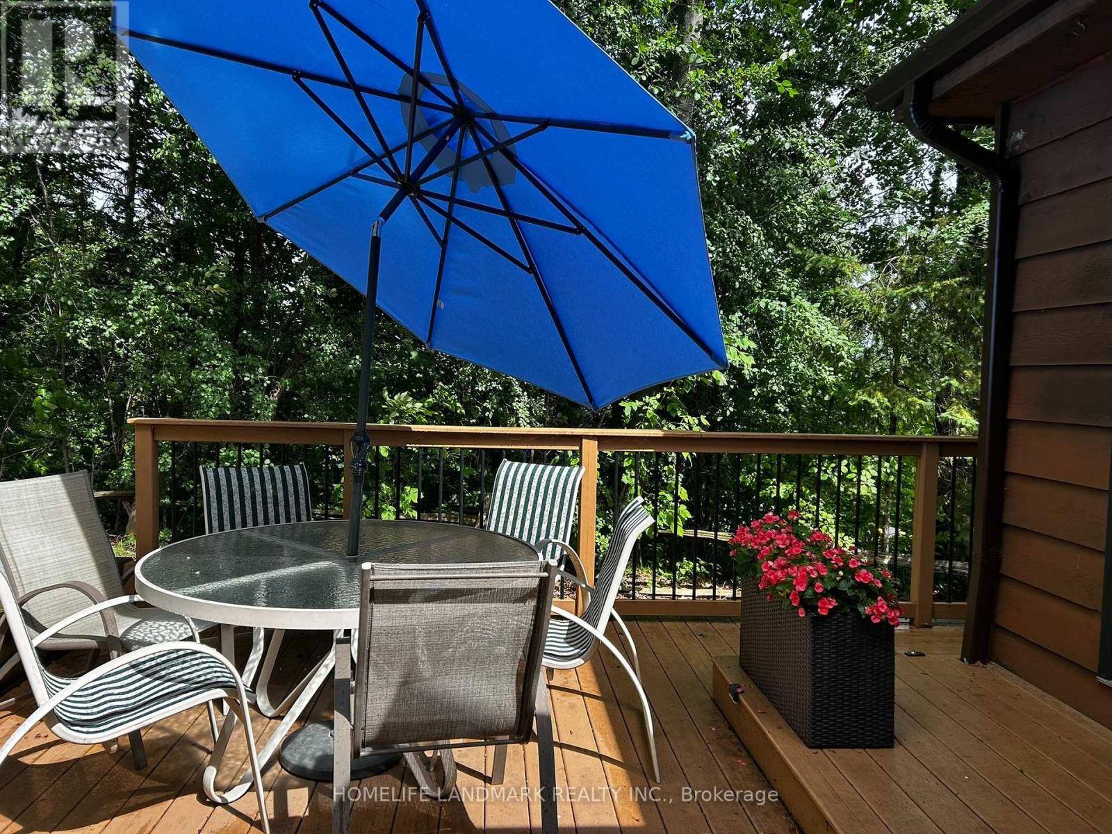 642 North Shore Dr E Drive, Otonabee-South Monaghan, Ontario  K0L 1B0 - Photo 22 - X13842038