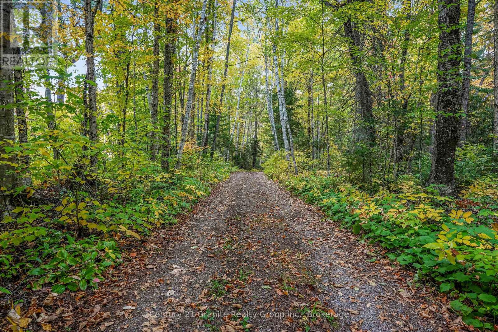 4175 Elephant Lake Road, Dysart Et Al (Harcourt), Ontario  K0L 3C0 - Photo 6 - X13844172