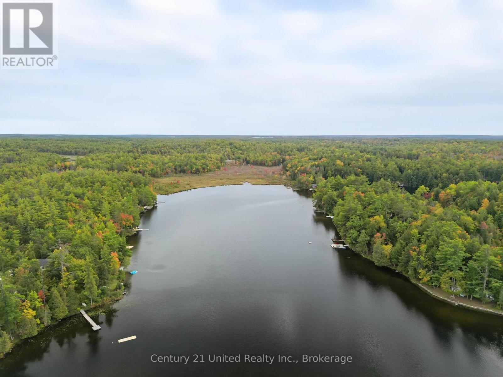 15 Spur 2, Trent Lakes, Ontario  K0L 1J0 - Photo 5 - X13844440