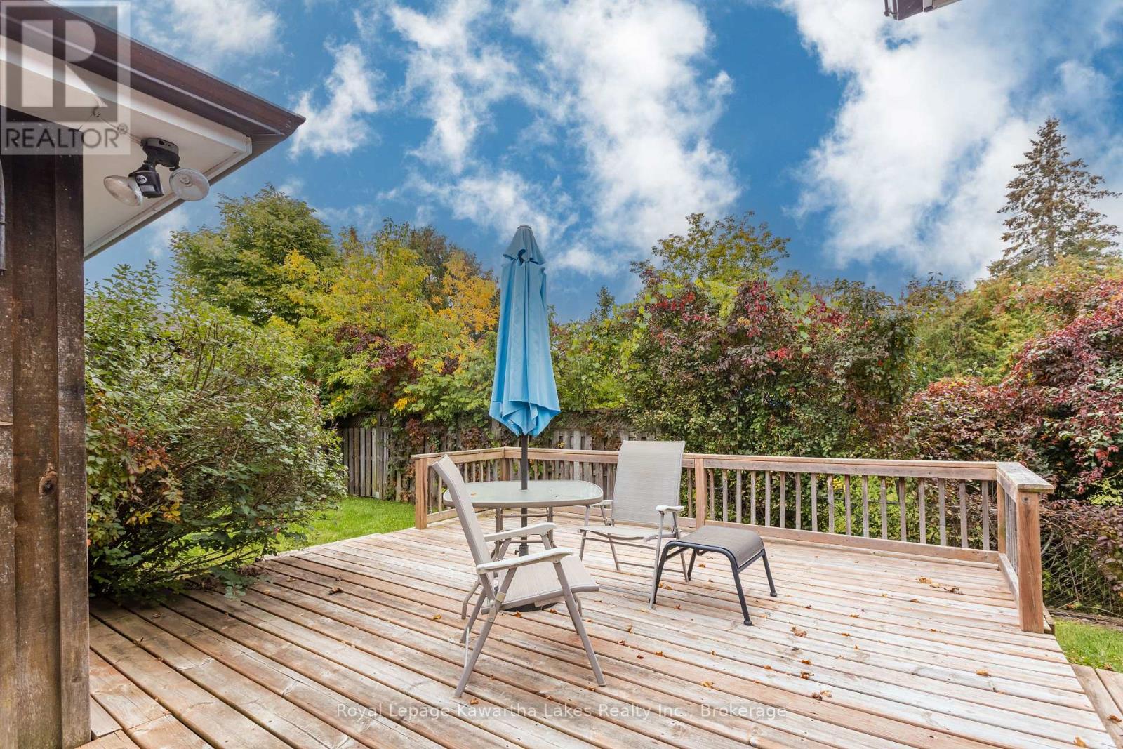 115 Victoria Avenue N, Kawartha Lakes (Lindsay), Ontario  K9V 4G9 - Photo 23 - X13846648