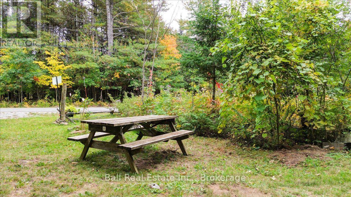 N/a Coon Lake Road, North Kawartha, Ontario  K0L 1A0 - Photo 12 - X13847170