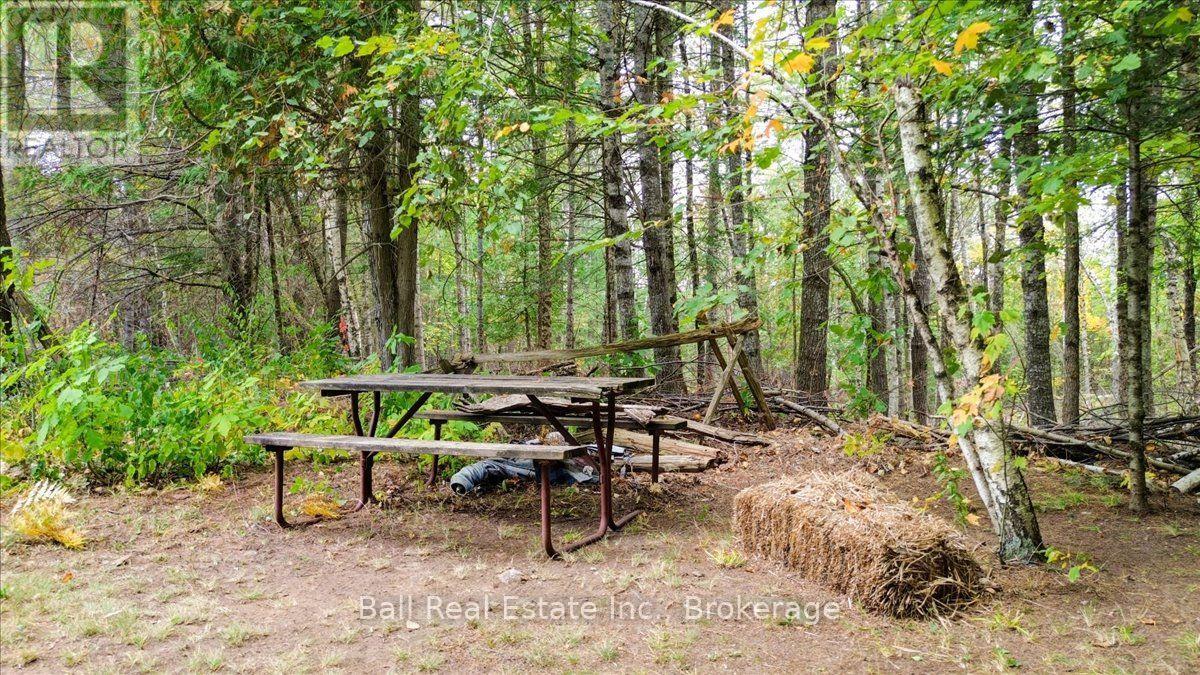 N/a Coon Lake Road, North Kawartha, Ontario  K0L 1A0 - Photo 17 - X13847170