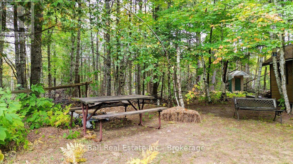 N/a Coon Lake Road, North Kawartha, Ontario  K0L 1A0 - Photo 19 - X13847170