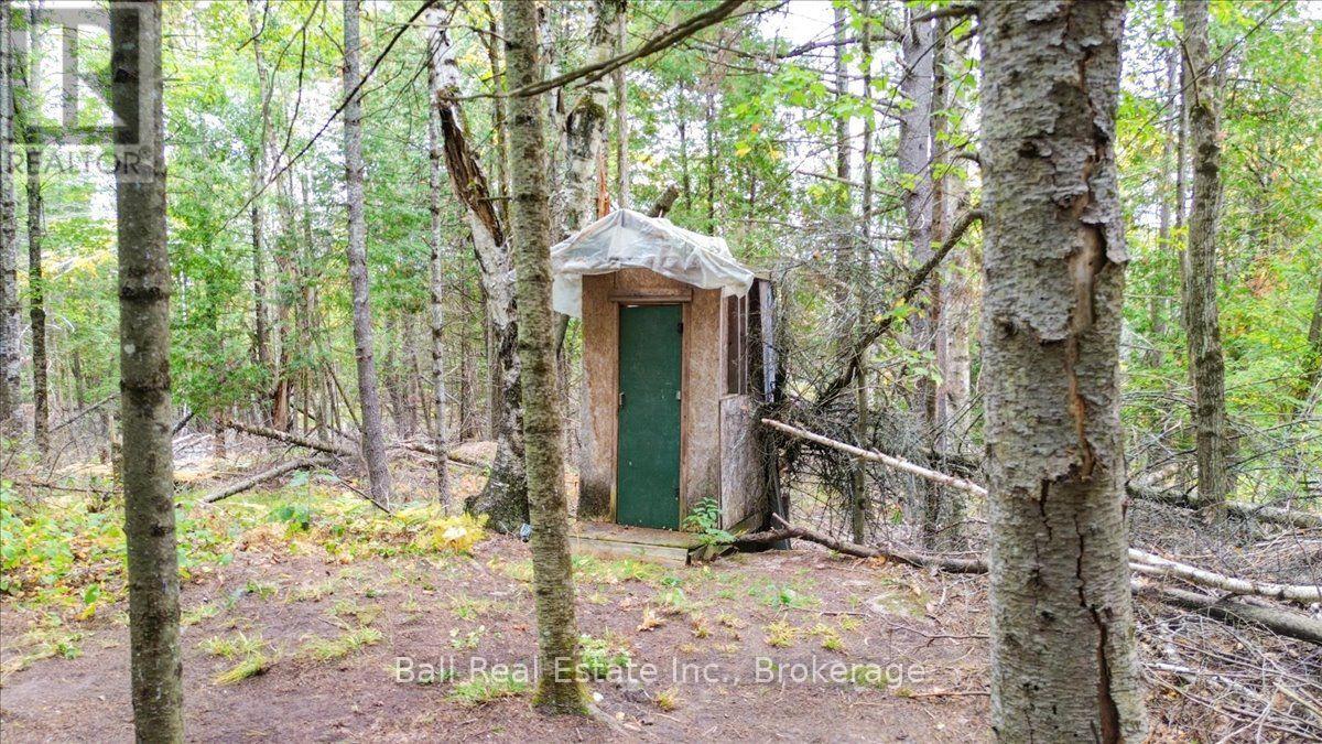N/a Coon Lake Road, North Kawartha, Ontario  K0L 1A0 - Photo 21 - X13847170