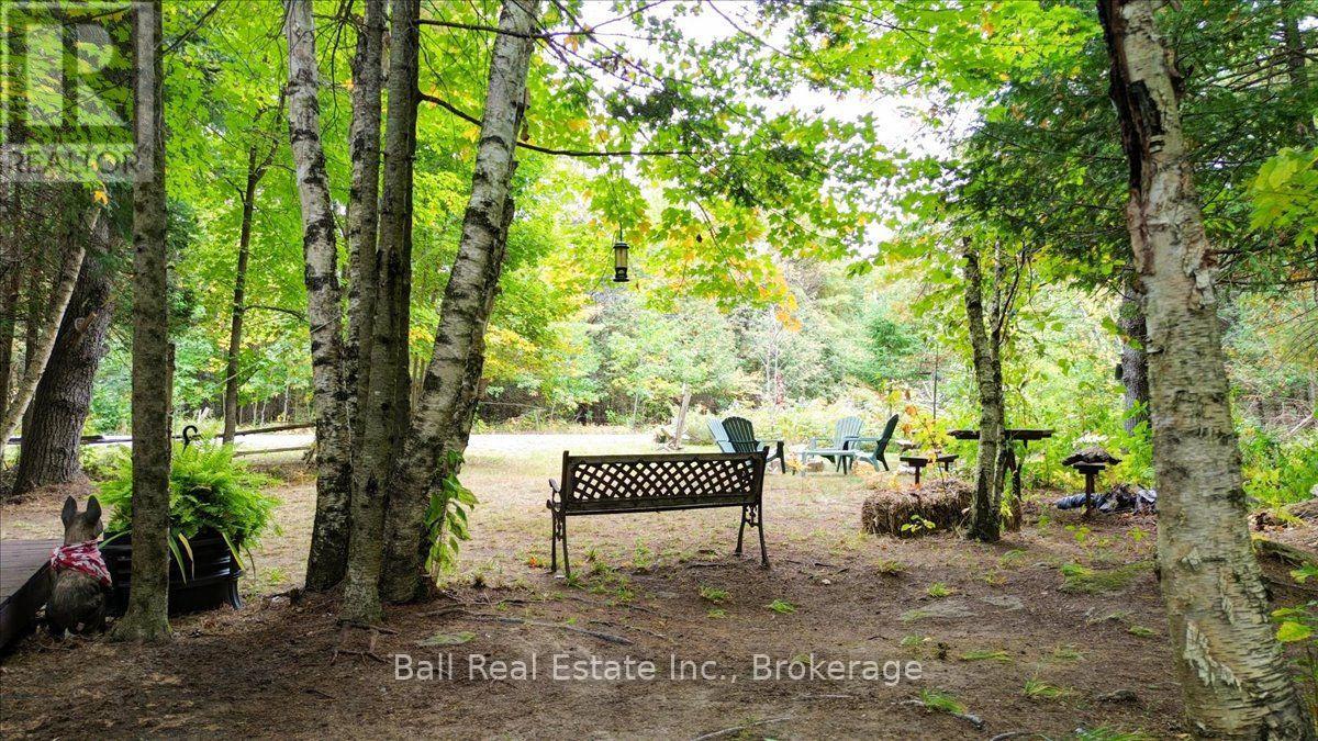 N/a Coon Lake Road, North Kawartha, Ontario  K0L 1A0 - Photo 24 - X13847170