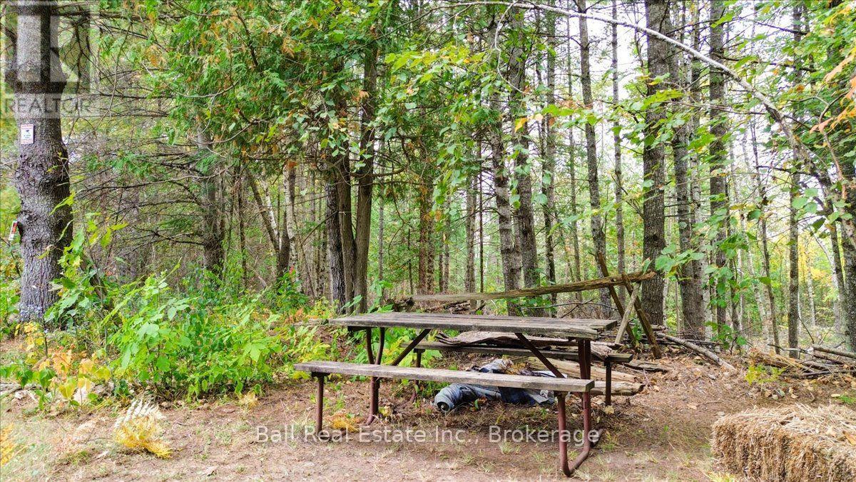 N/a Coon Lake Road, North Kawartha, Ontario  K0L 1A0 - Photo 26 - X13847170