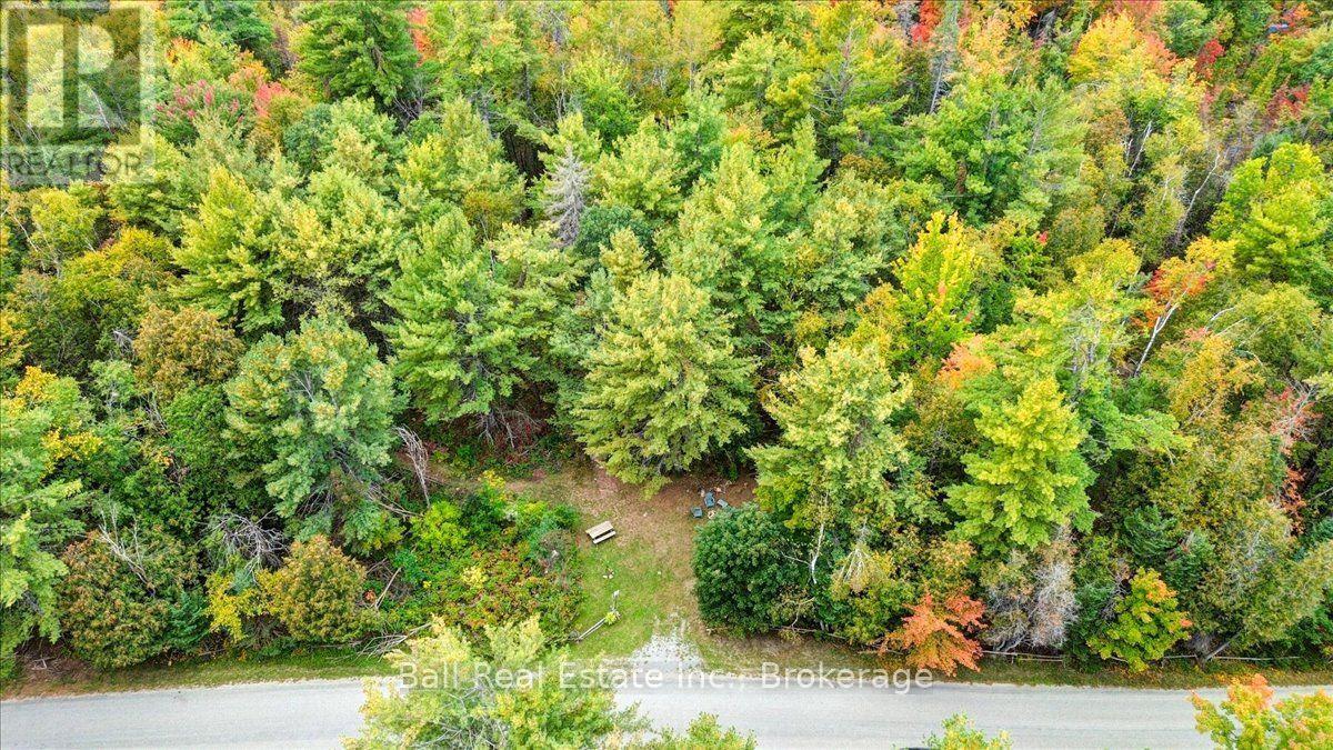 N/a Coon Lake Road, North Kawartha, Ontario  K0L 1A0 - Photo 29 - X13847170