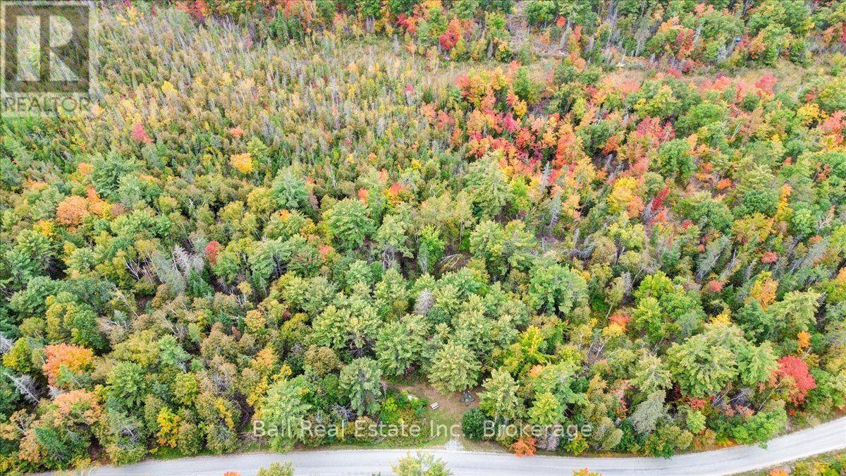 N/a Coon Lake Road, North Kawartha, Ontario  K0L 1A0 - Photo 30 - X13847170