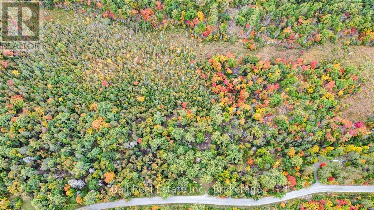 N/a Coon Lake Road, North Kawartha, Ontario  K0L 1A0 - Photo 31 - X13847170