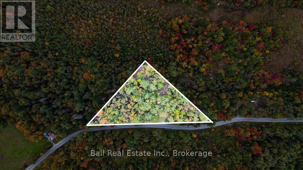 N/a Coon Lake Road, North Kawartha, Ontario  K0L 1A0 - Photo 32 - X13847170
