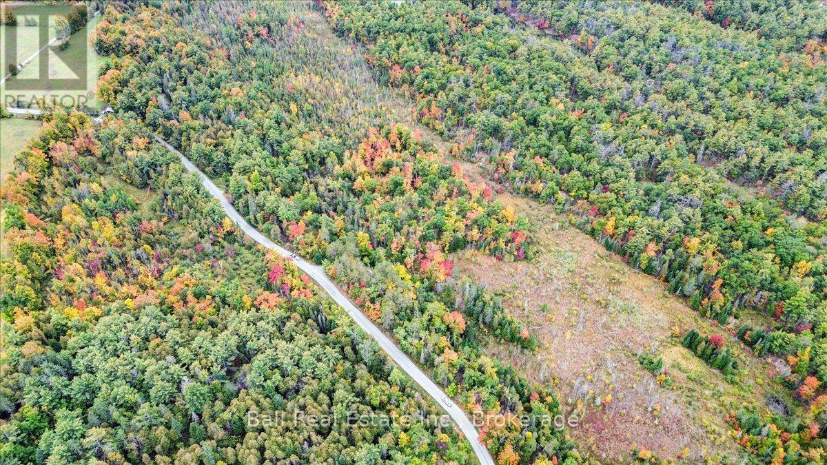 N/a Coon Lake Road, North Kawartha, Ontario  K0L 1A0 - Photo 33 - X13847170