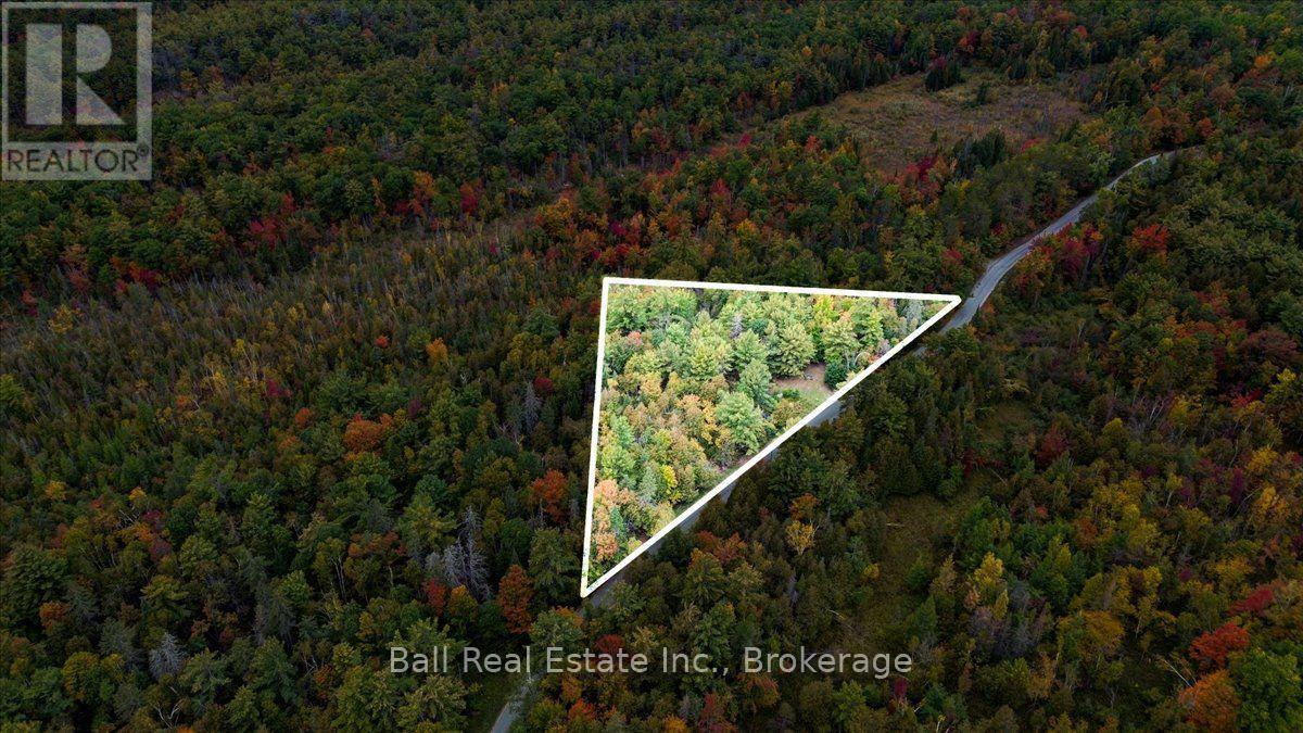 N/a Coon Lake Road, North Kawartha, Ontario  K0L 1A0 - Photo 34 - X13847170