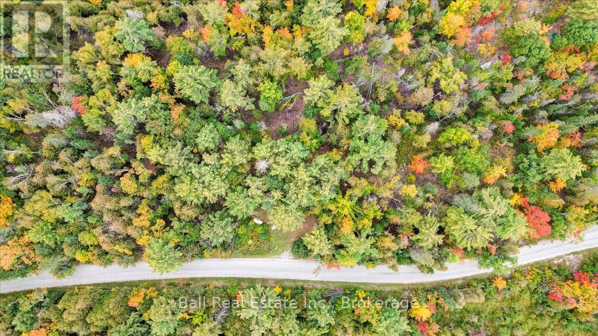 N/a Coon Lake Road, North Kawartha, Ontario  K0L 1A0 - Photo 35 - X13847170