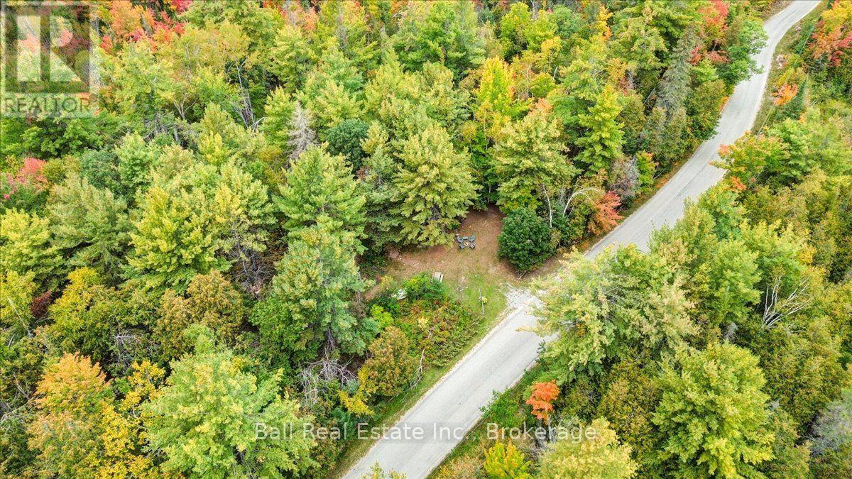 N/a Coon Lake Road, North Kawartha, Ontario  K0L 1A0 - Photo 38 - X13847170