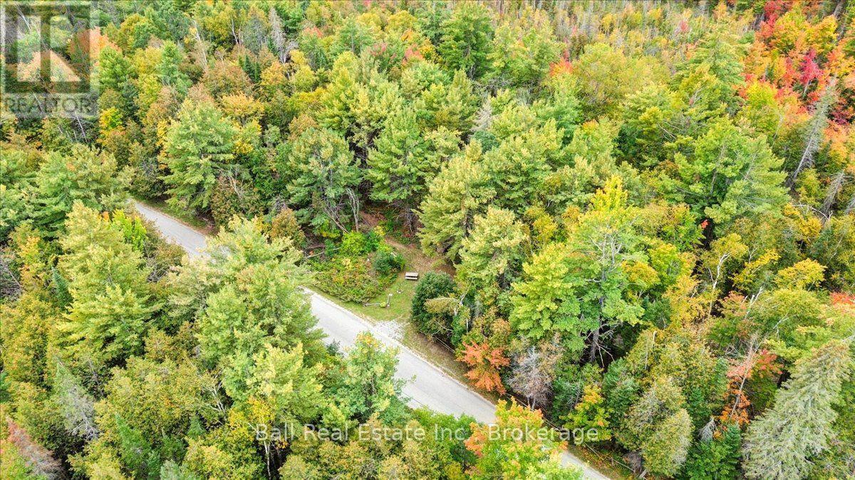 N/a Coon Lake Road, North Kawartha, Ontario  K0L 1A0 - Photo 39 - X13847170