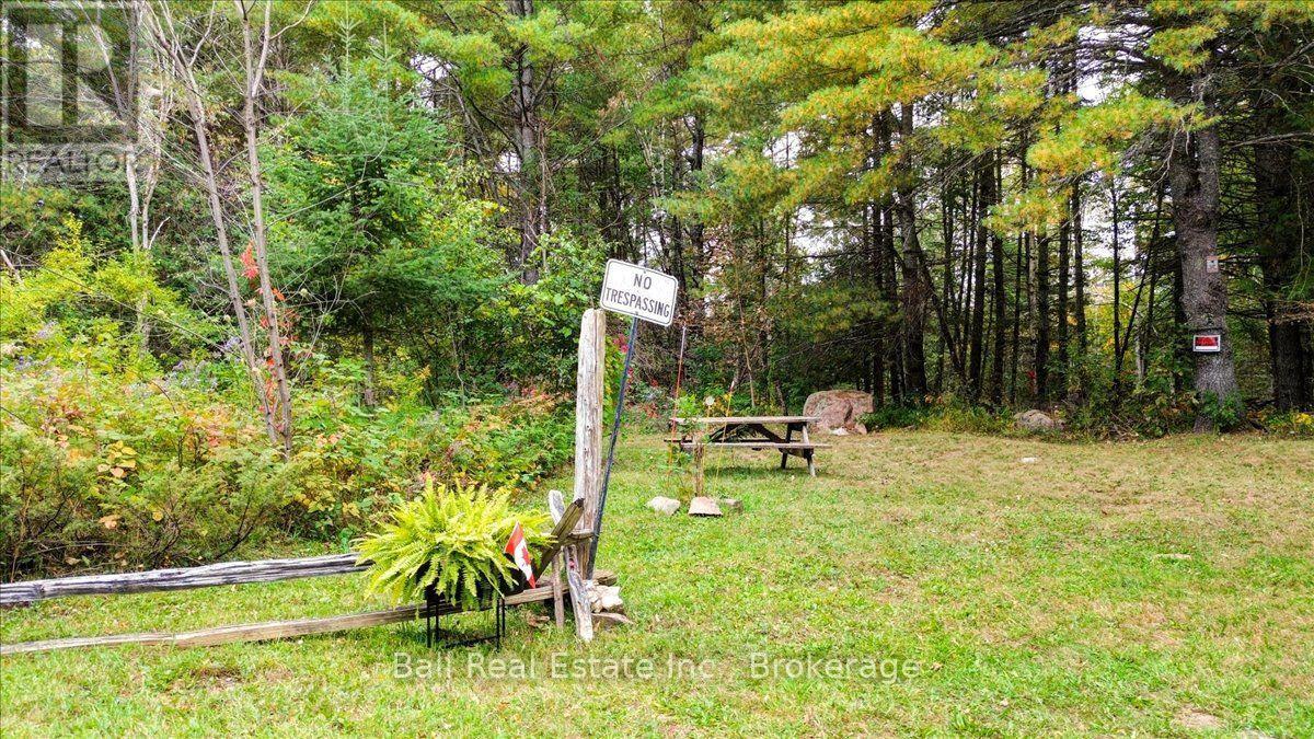 N/a Coon Lake Road, North Kawartha, Ontario  K0L 1A0 - Photo 40 - X13847170