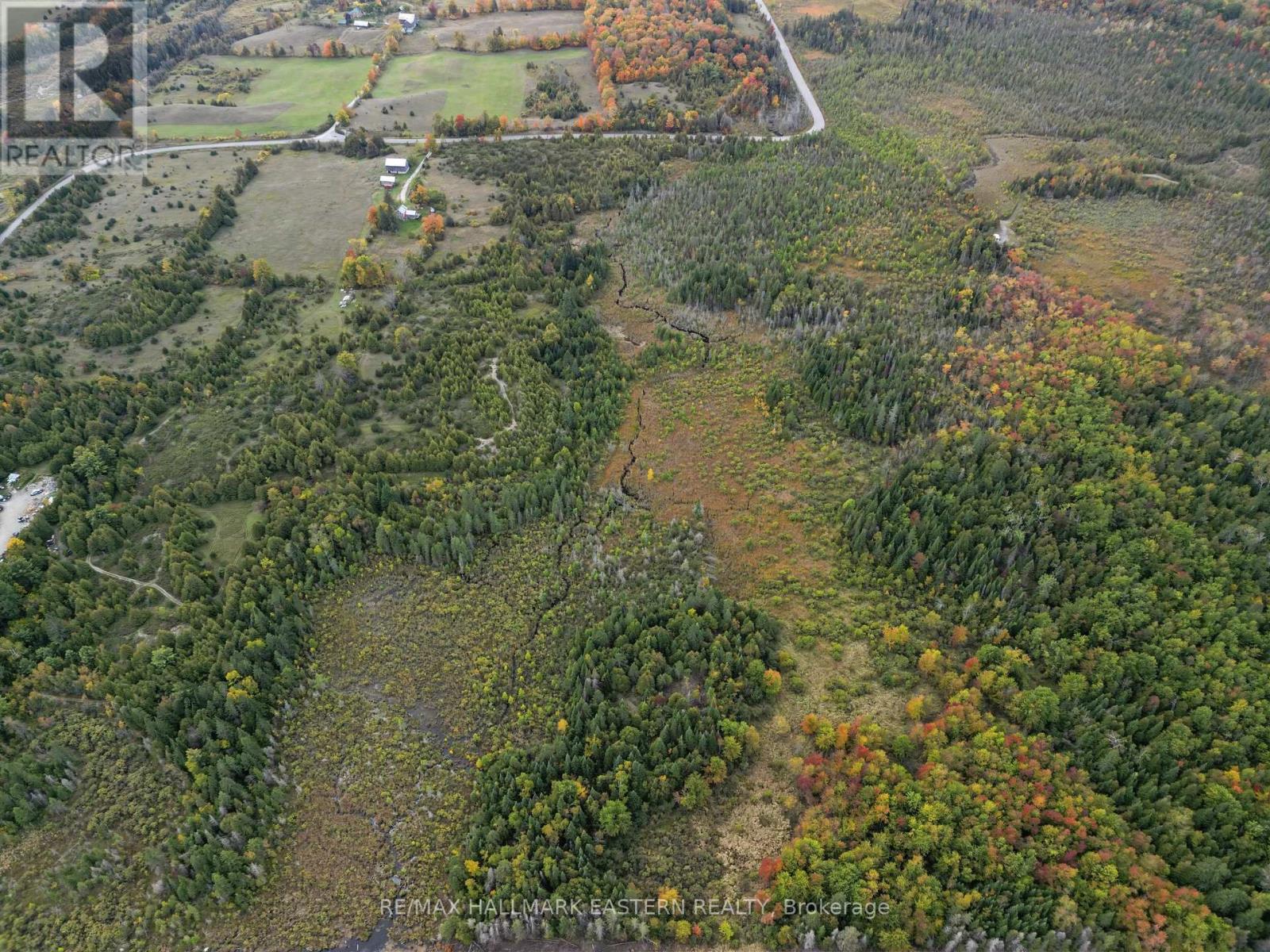 230 Baker Road, Havelock-Belmont-Methuen (Belmont-Methuen), Ontario  K0L 1Z0 - Photo 8 - X13849116