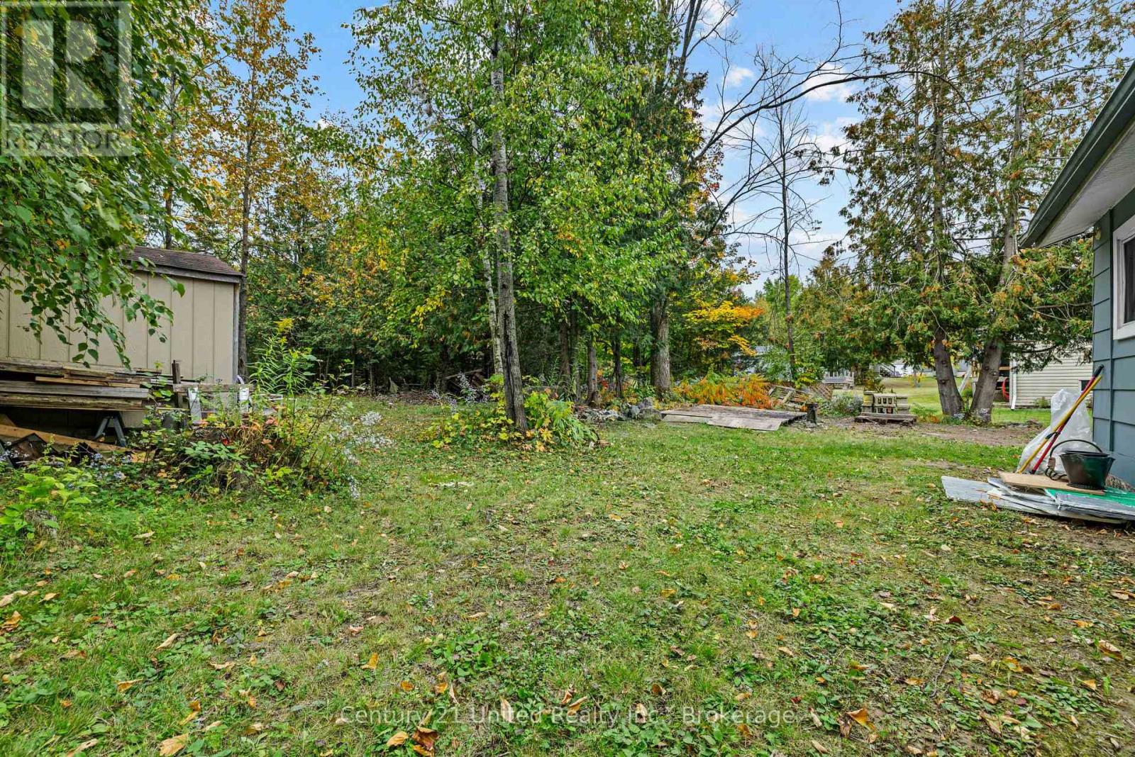 1249 Birchview Road, Douro-Dummer, Ontario  K0L 2H0 - Photo 10 - X13849202