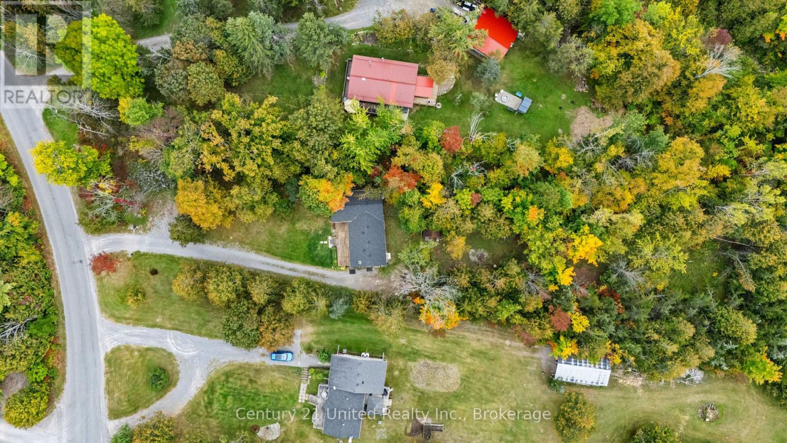 1249 Birchview Road, Douro-Dummer, Ontario  K0L 2H0 - Photo 38 - X13849202