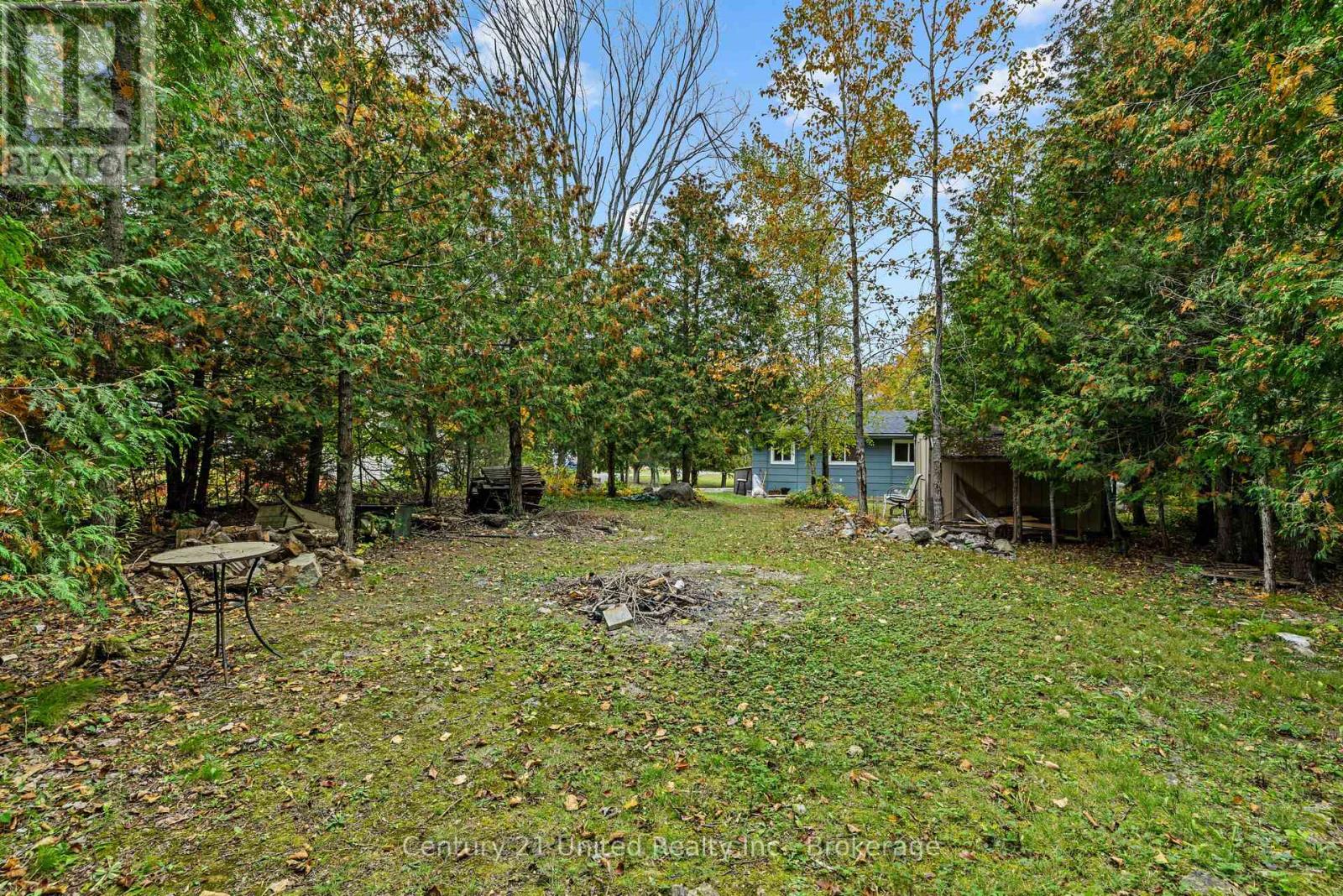 1249 Birchview Road, Douro-Dummer, Ontario  K0L 2H0 - Photo 7 - X13849202
