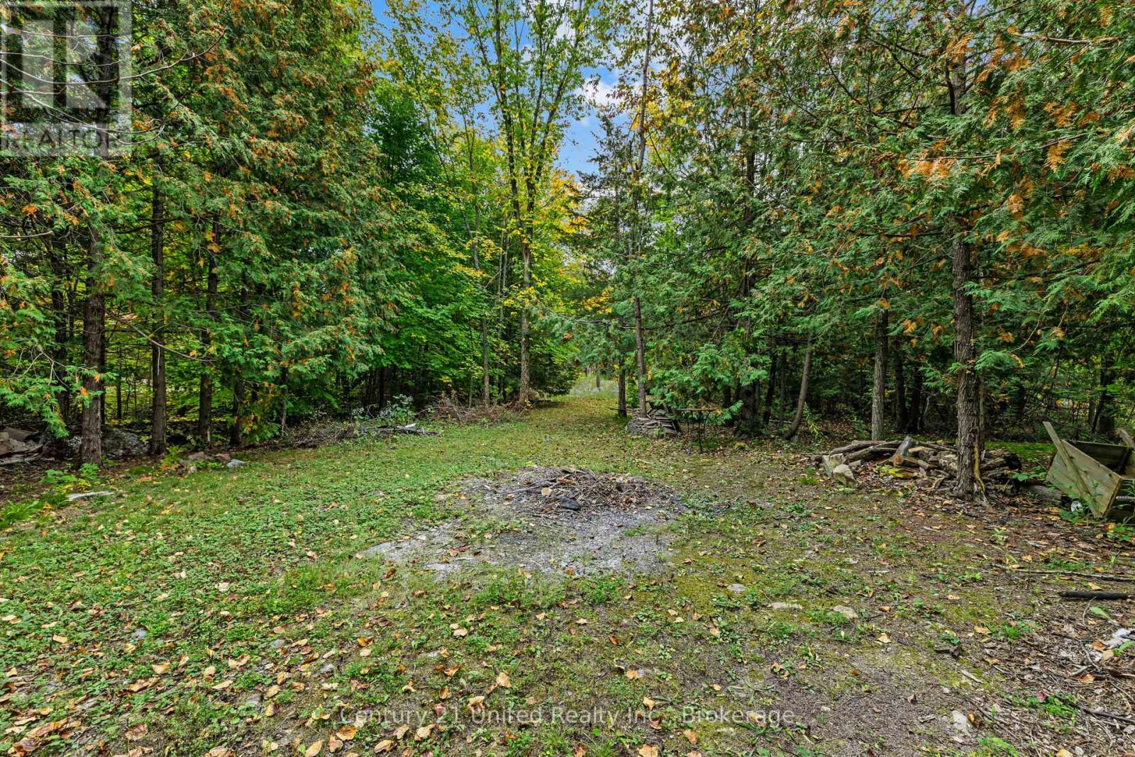 1249 Birchview Road, Douro-Dummer, Ontario  K0L 2H0 - Photo 9 - X13849202