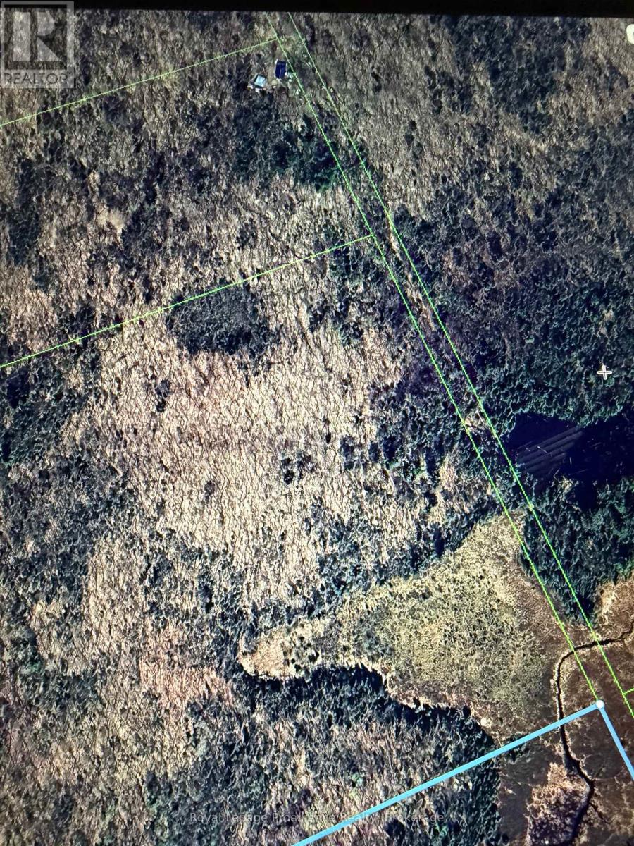 1192d Highway 127, Hastings Highlands (Mcclure Ward), Ontario  K0L 2S0 - Photo 8 - X13855512
