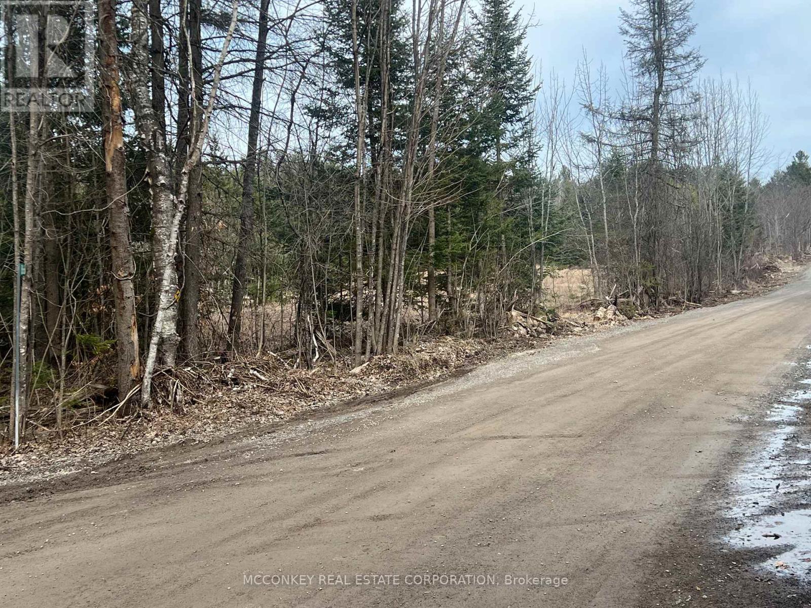 00 Centre Dummer Road, Douro-Dummer, Ontario  K0L 2H0 - Photo 5 - X13856026