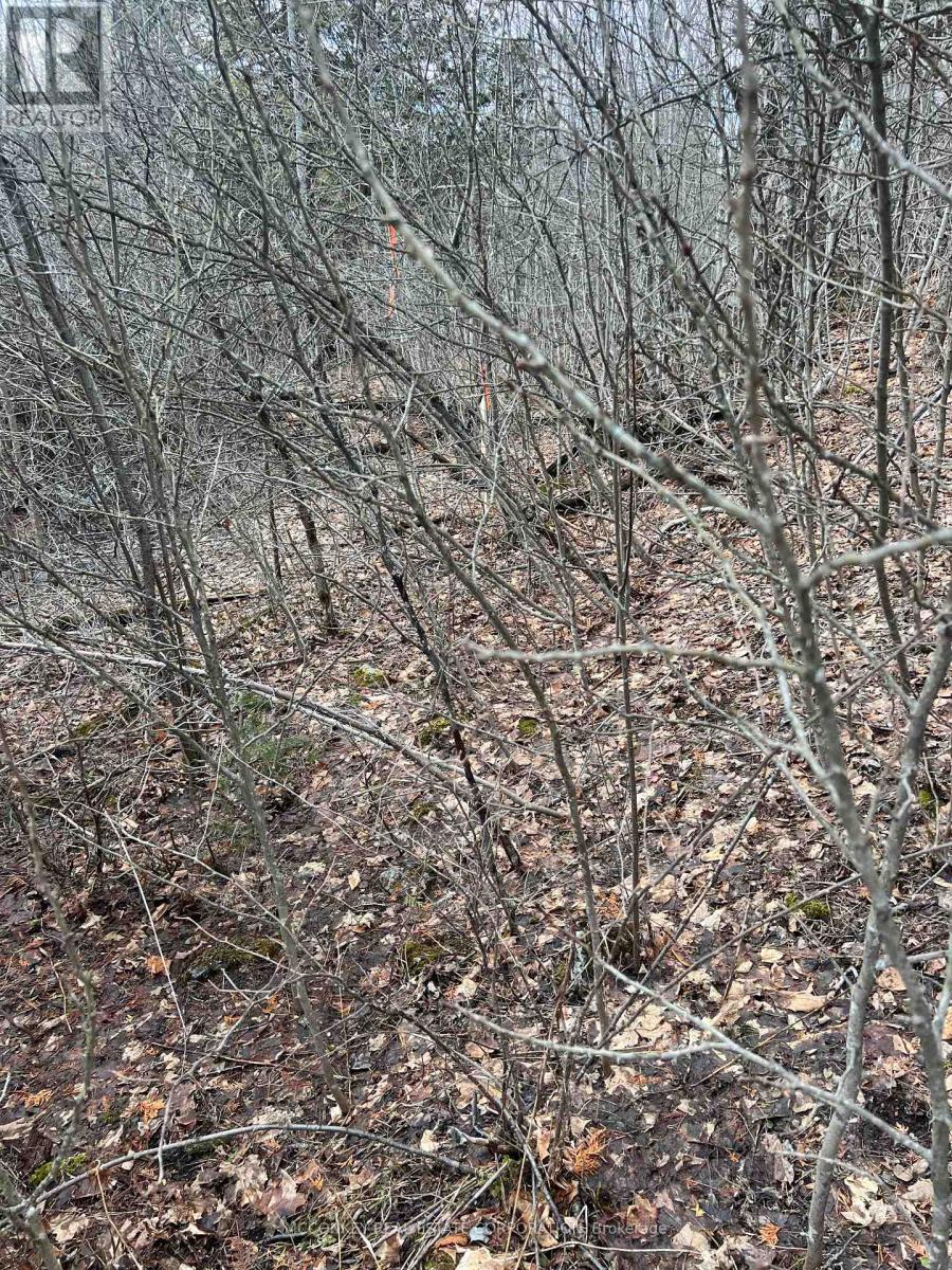 00 N. Dummer 7th Line Road, Douro-Dummer, Ontario  K0L 2H0 - Photo 12 - X13856334