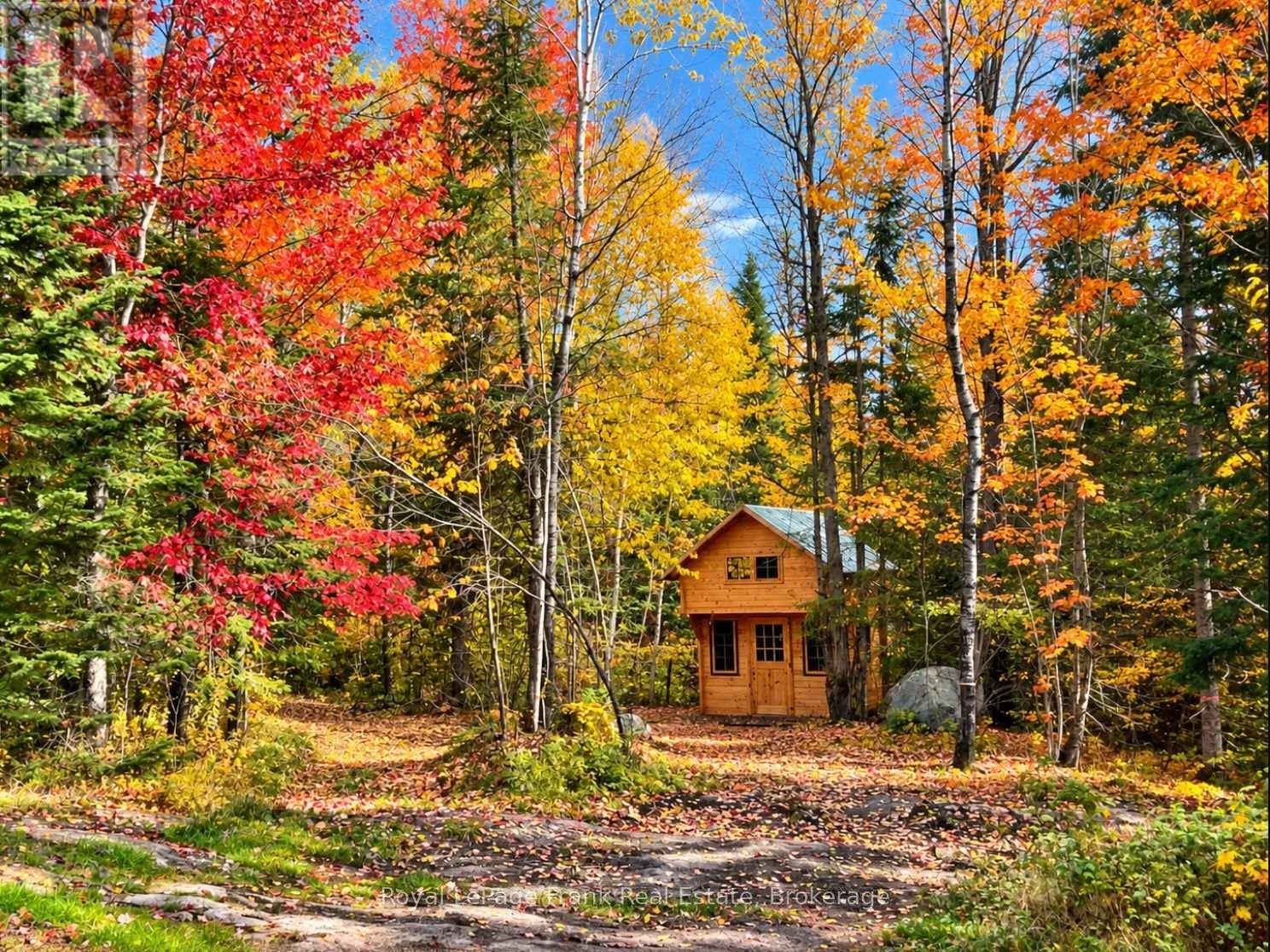 0 Peterson Road, Hastings Highlands (Herschel Ward), Ontario  K0L 2S0 - Photo 10 - X13856448