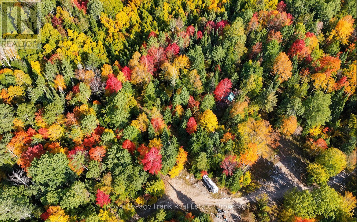 0 Peterson Road, Hastings Highlands (Herschel Ward), Ontario  K0L 2S0 - Photo 11 - X13856448