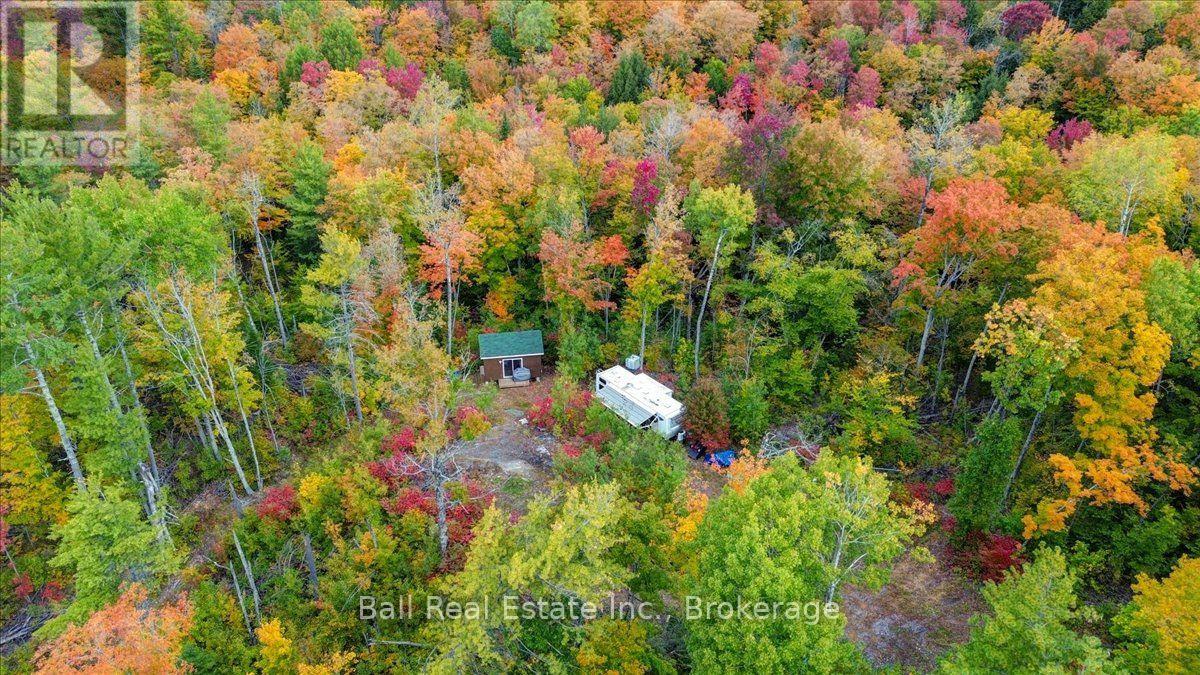 4249 Old Hastings Road, Limerick, Ontario  K0L 1W0 - Photo 15 - X13858398