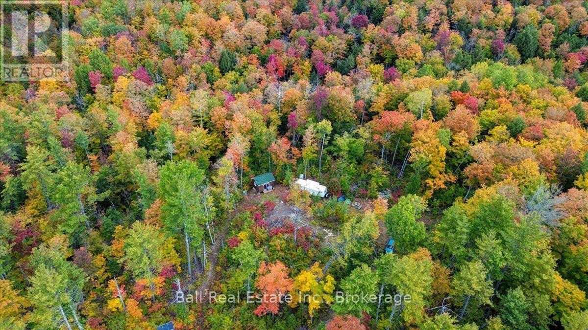4249 Old Hastings Road, Limerick, Ontario  K0L 1W0 - Photo 16 - X13858398