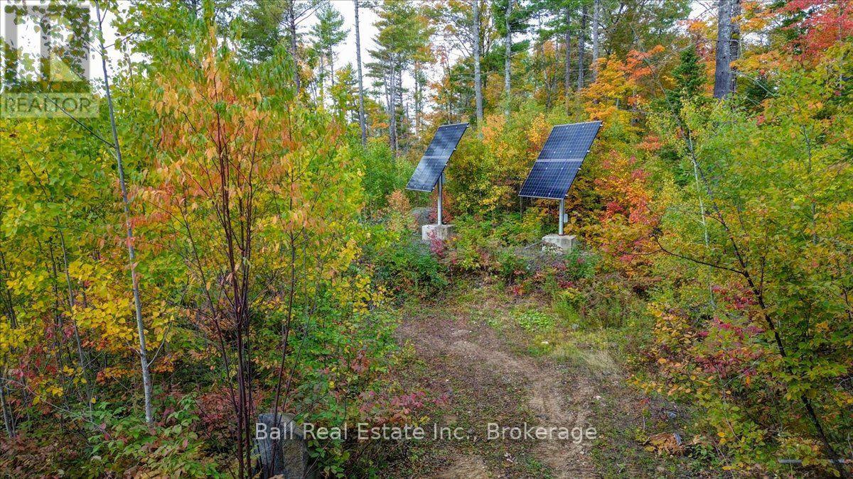 4249 Old Hastings Road, Limerick, Ontario  K0L 1W0 - Photo 21 - X13858398