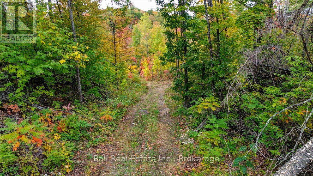 4249 Old Hastings Road, Limerick, Ontario  K0L 1W0 - Photo 24 - X13858398