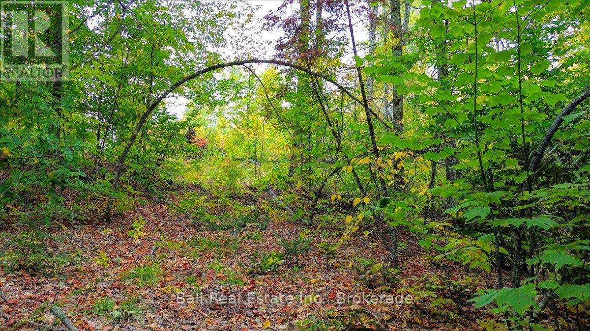 4249 Old Hastings Road, Limerick, Ontario  K0L 1W0 - Photo 25 - X13858398