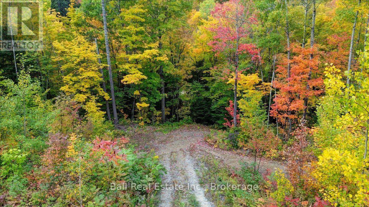 4249 Old Hastings Road, Limerick, Ontario  K0L 1W0 - Photo 26 - X13858398