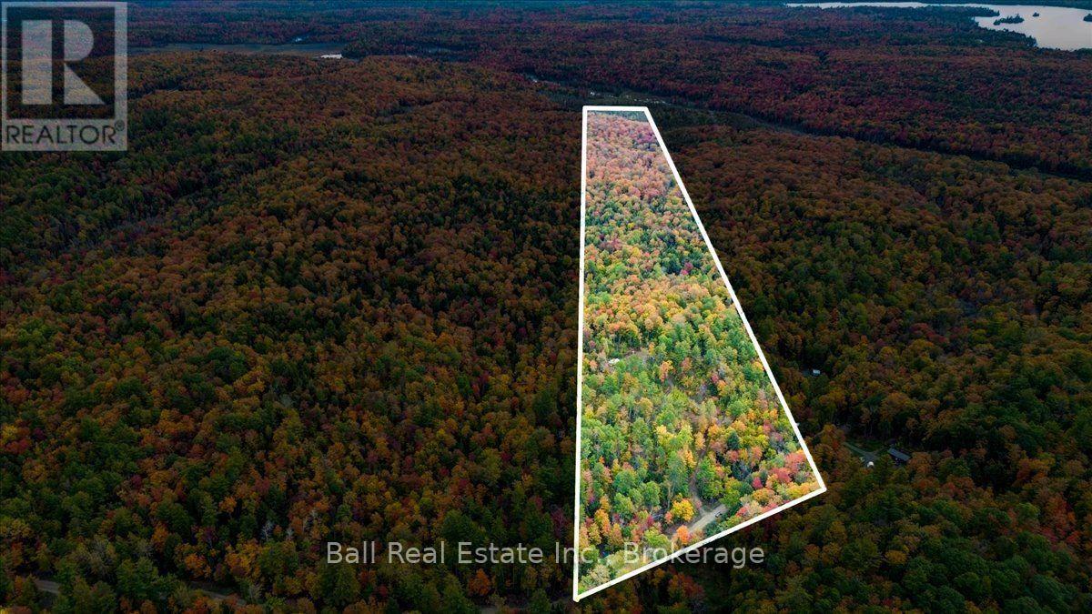 4249 Old Hastings Road, Limerick, Ontario  K0L 1W0 - Photo 28 - X13858398