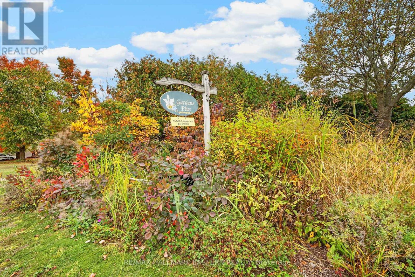 136 COUNTY 4 ROAD, douro-dummer, Ontario