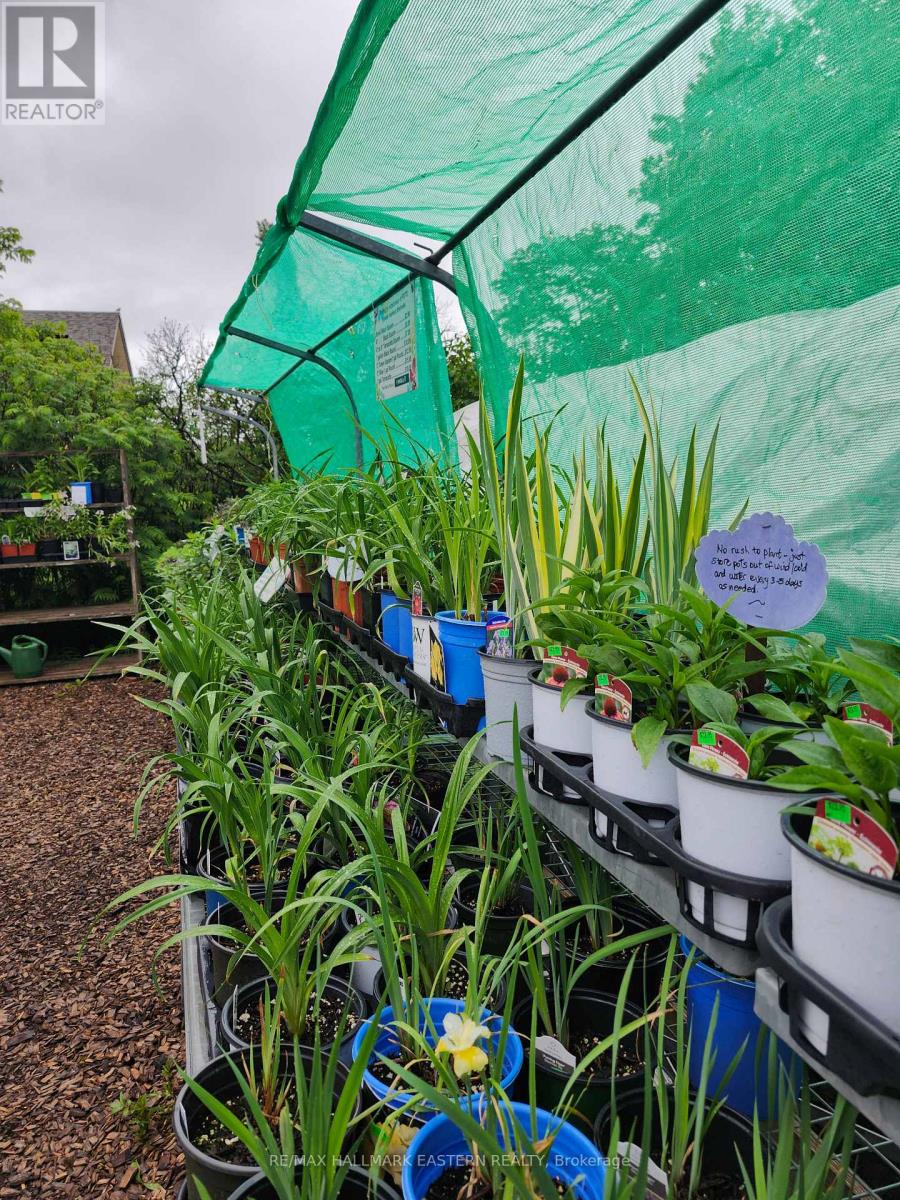 136 County 4 Road, Douro-Dummer, Ontario  K9L 1V6 - Photo 8 - X13862568