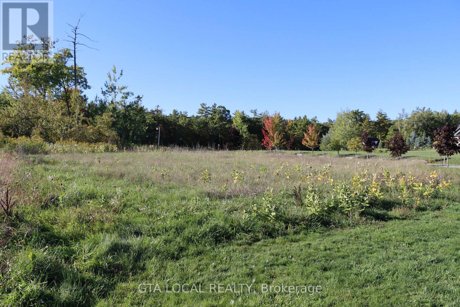 Lot 25 Fire Route, Trent Lakes, Ontario  K0L 1J0 - Photo 5 - X13864950