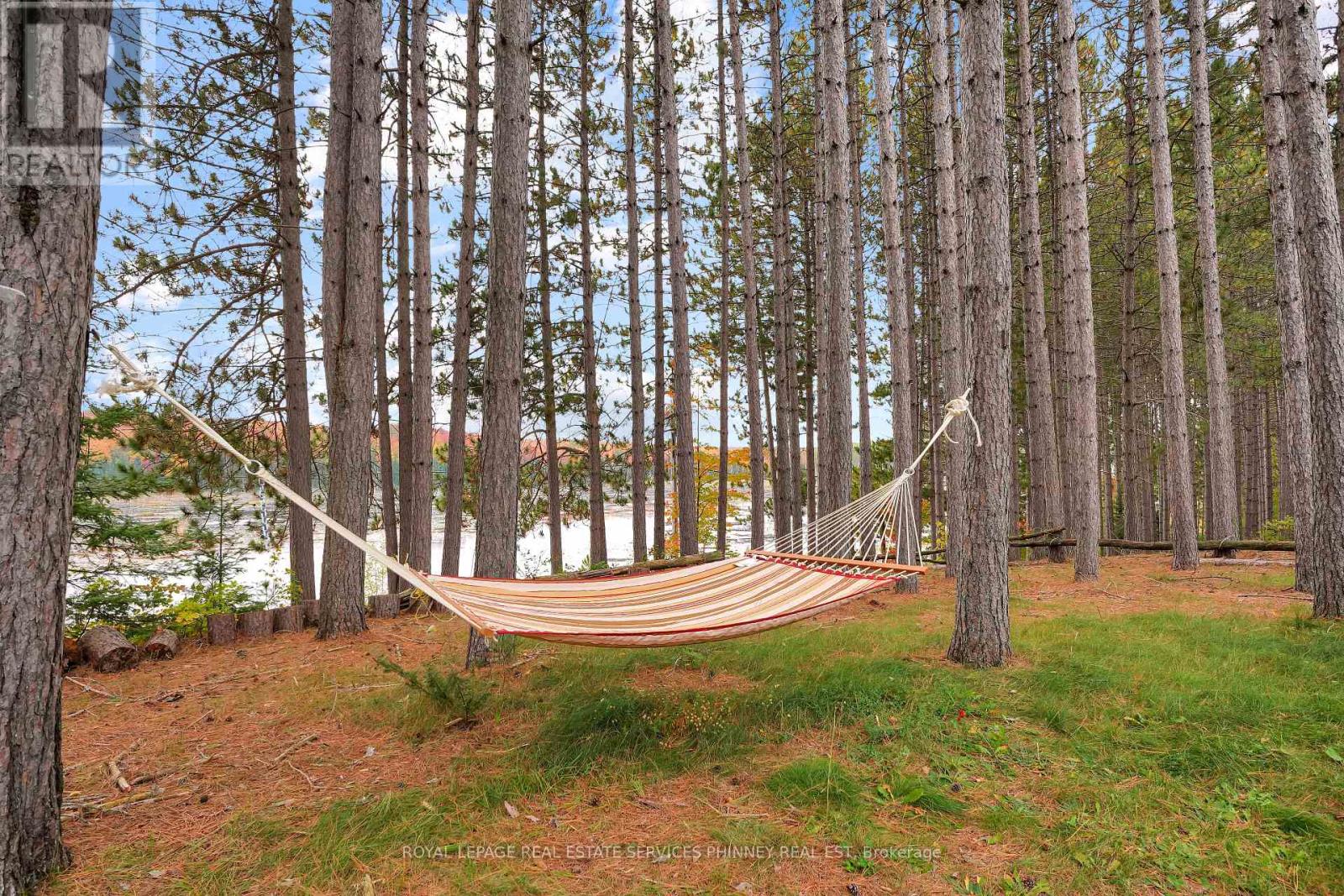 5073 Weslemkoon Lake Road, Tudor And Cashel (Cashel Ward), Ontario  K0L 1W0 - Photo 24 - X13866736