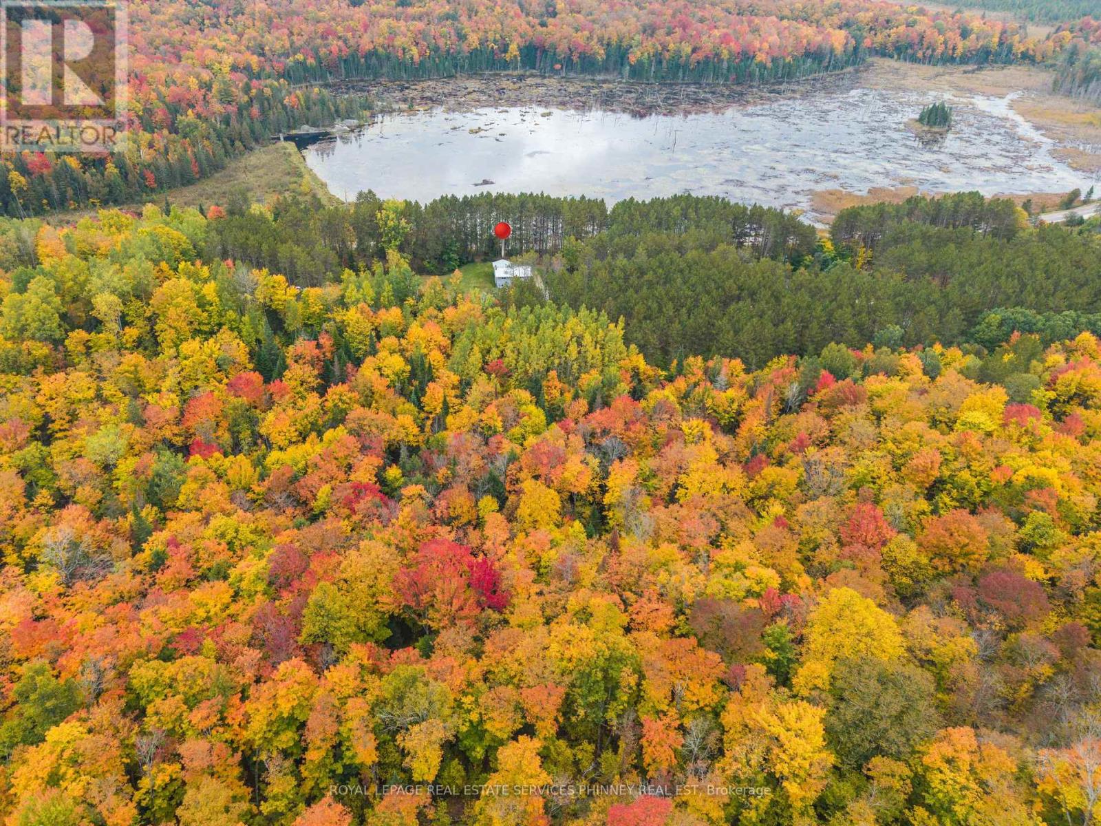 5073 Weslemkoon Lake Road, Tudor And Cashel (Cashel Ward), Ontario  K0L 1W0 - Photo 29 - X13866736