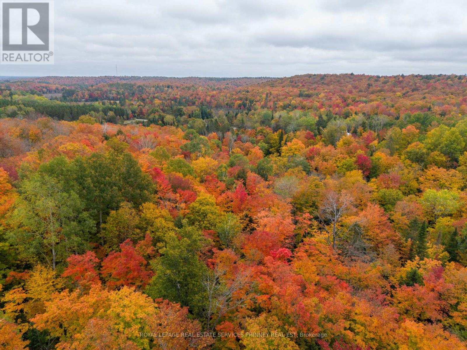5073 Weslemkoon Lake Road, Tudor And Cashel (Cashel Ward), Ontario  K0L 1W0 - Photo 6 - X13866736