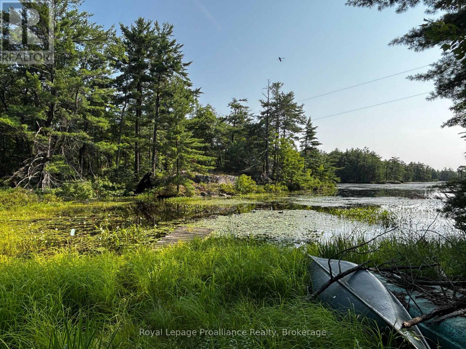 224 Fire Route 91, Havelock-Belmont-Methuen, Ontario  K0L 1Z0 - Photo 39 - X13868492