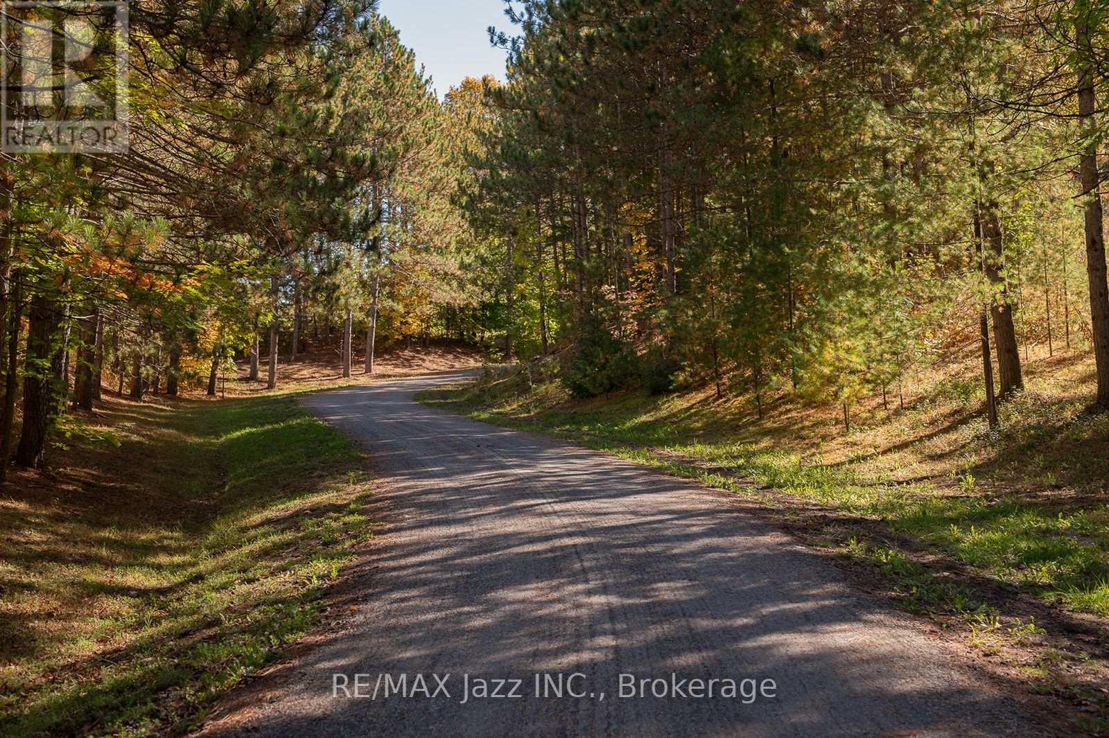753 Syer 8th Line, Cavan Monaghan (Cavan Twp), Ontario  L0A 1C0 - Photo 10 - X13870692