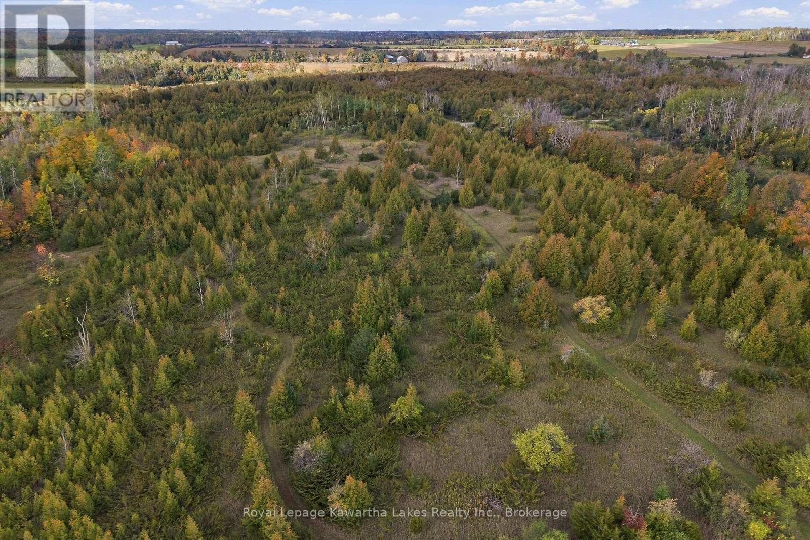 Pt Lt 17 Southside Road, Kawartha Lakes (Emily), Ontario  K9V 4R5 - Photo 10 - X13872834