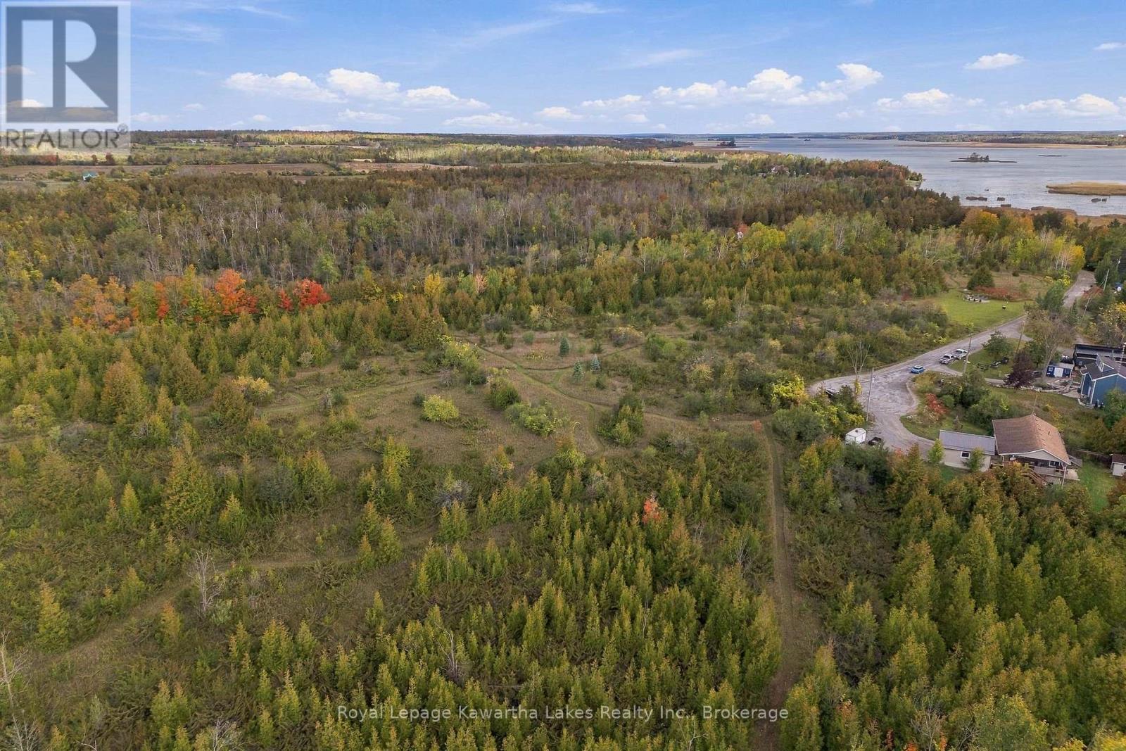 Pt Lt 17 Southside Road, Kawartha Lakes (Emily), Ontario  K9V 4R5 - Photo 11 - X13872834